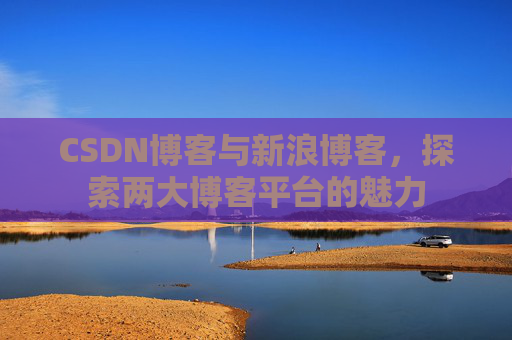 CSDN博客与新浪博客，探索两大博客平台的魅力
